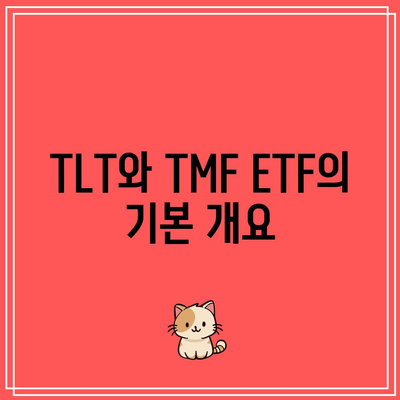 TLT, TMF ETF 비교: 수익률과 분석