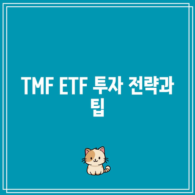 TMF ETF: 미국 국채의 잠재력 파악하기