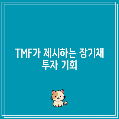 TMF: 미국 장기채 시장에 발전된 투자 접근 방식