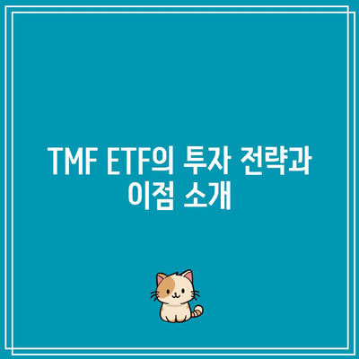 금리 인하 ETF 투자: TMF