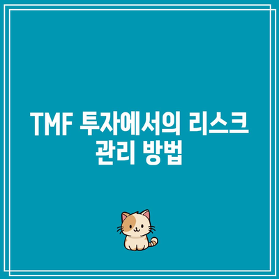 TMF와 3배 레버리지의 위험성 인식하기