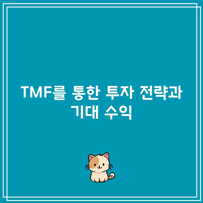 TMF로 미국 채권 수익률에 베팅하기