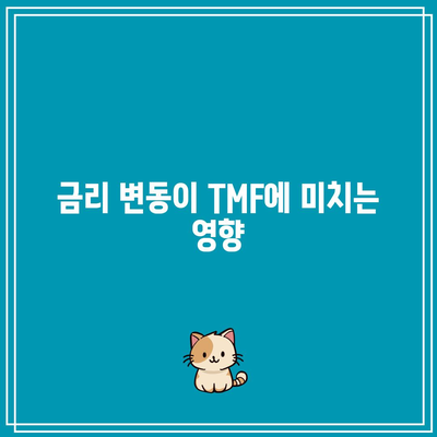 장기 국채 ETF TMF 투자 고려 사항: 경기 침체 대비