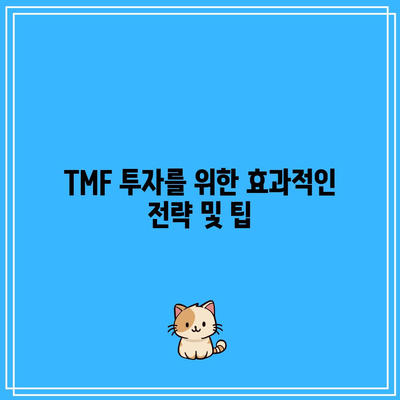 채권 투자 붐과 함께 생각해볼 질문: TMF (장기채 레버리지 ETF)