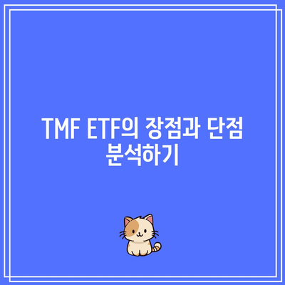 리스크 용인자 높은 투자자를 위한 TMF ETF