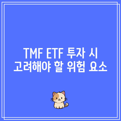 금리 인하 ETF 투자: TMF