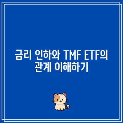 금리 인하 ETF 투자: TMF