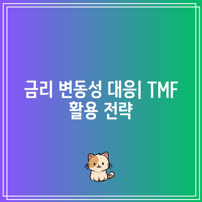 TMF 대체: 미국 채권 투자에서 위험을 관리하는 것