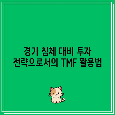 장기 국채 ETF TMF 투자 고려 사항: 경기 침체 대비