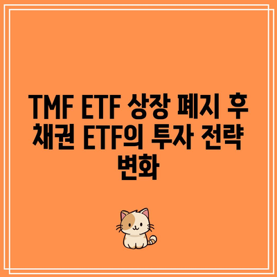 TMF ETF 상장 폐지: 미래를 향한 채권 ETF