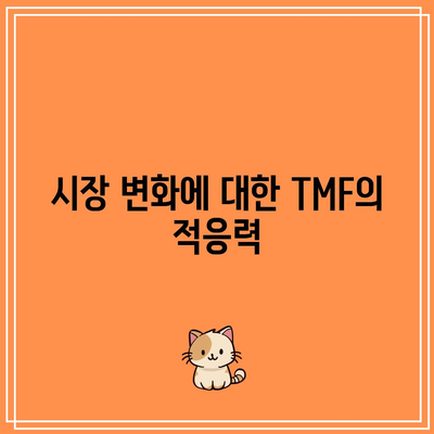 TMF: 위험 대비 수익률 균형 잡기