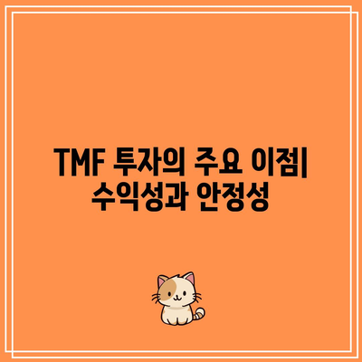 TMF 투자의 잠재적 이점과 단점 전망