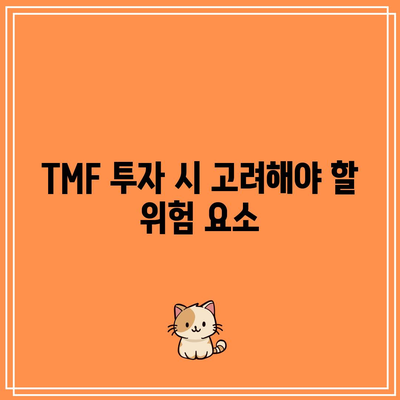 TMF: 금리 변동에 대한 과도한 노출로 인한 위험성