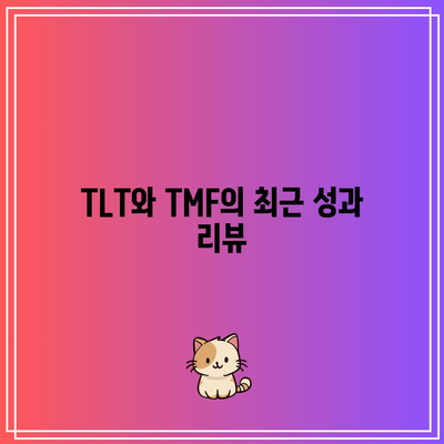 미국 채권 투자: TLT, TMF, 금리 인하 전망