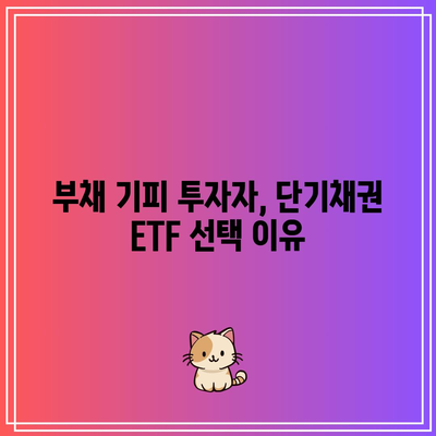 단기채권 ETF와 부채 기피 투자자