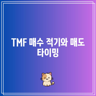 3배 채권 레버리지 ETF TMF 투자 가이드