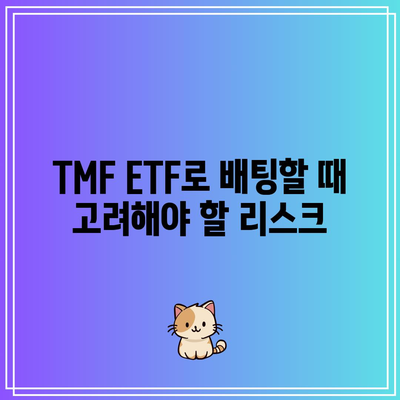 TMF ETF: 미국 국채의 급등에 대한 배팅