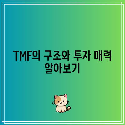 미국 장기 국채 ETF TMF 살펴보기: 리스크와 보상