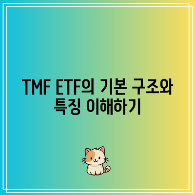 리스크 용인자 높은 투자자를 위한 TMF ETF