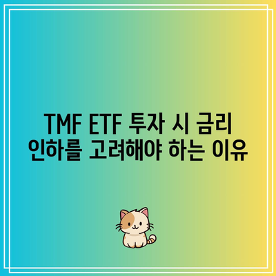 TMF ETF: 금리 인하와의 밀접한 관계 이해