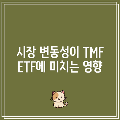 TMF ETF 투자 위험 요인 고려하기