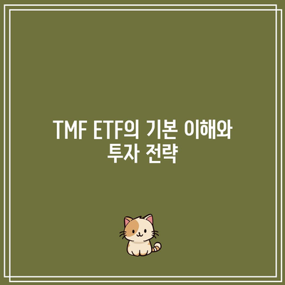 TMF ETF: 시장 변동성 속에서 균형 잡는 것