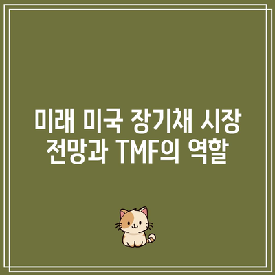 TMF: 미국 장기채 시장에 발전된 투자 접근 방식