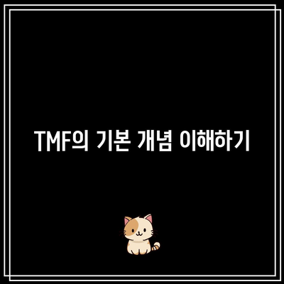 TMF를 활용한 금리 변동성 활용하기