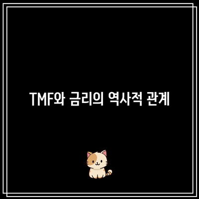 TMF와 금리: 상관관계 알아보기