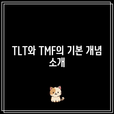 일본상장 2621 ETF 추천: TLT, TMF 3배 레버리지