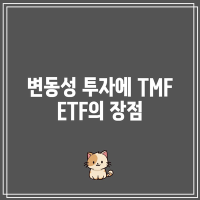 TMF ETF: 시장 변동성 속에서 균형 잡는 것