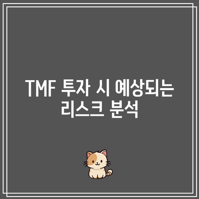 미국 장기 국채 ETF TMF 살펴보기: 리스크와 보상