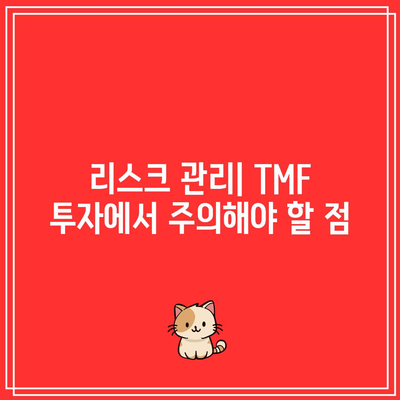 TMF 투자의 잠재적 이점과 단점 전망