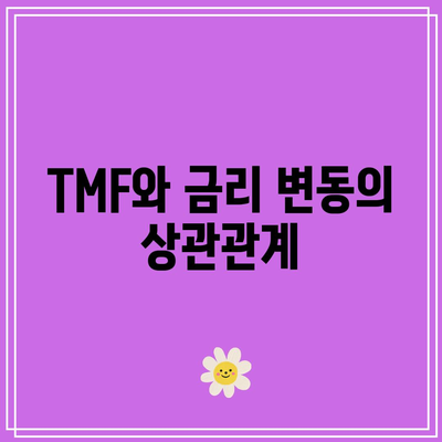 TMF: 장기 채권 시장에서의 혁신과 도전