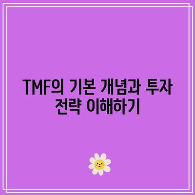 TMF: 위험 대비 수익률 균형 잡기