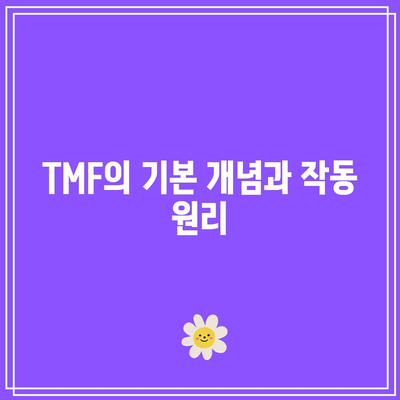 TMF: 금리 전략에 대한 포괄적 가이드