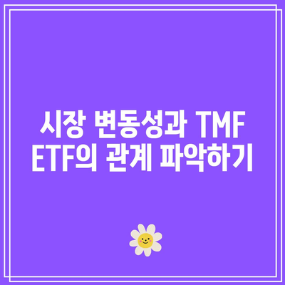 리스크 용인자 높은 투자자를 위한 TMF ETF