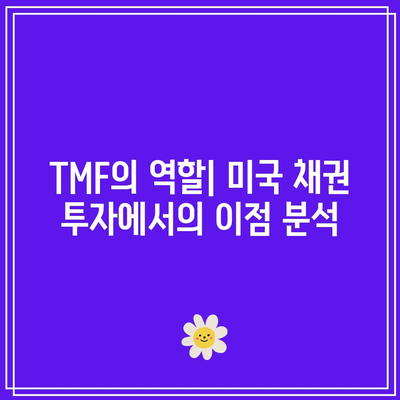 TMF 대체: 미국 채권 투자에서 위험을 관리하는 것