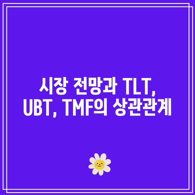 미국 채권 ETF 투자: TLT, UBT, TMF