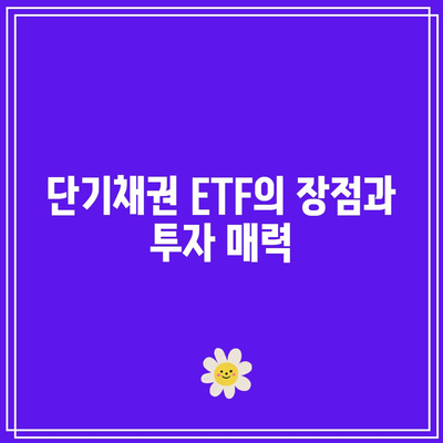 단기채권 ETF와 부채 기피 투자자