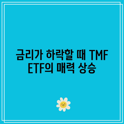 TMF ETF: 금리 인하와의 밀접한 관계 이해