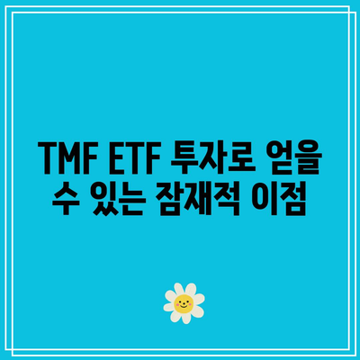 TMF ETF 투자: 3배 레버리지의 이점과 단점