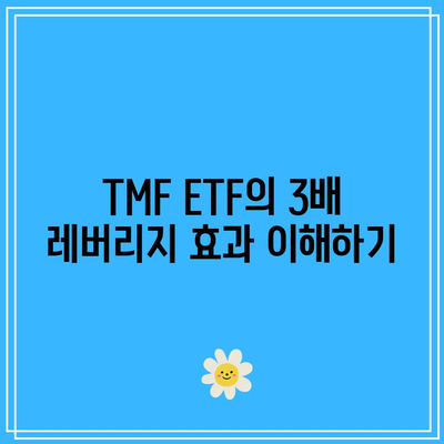 TMF ETF: 미국 장기 채권에 대한 3배 베팅의 이점과 위험점