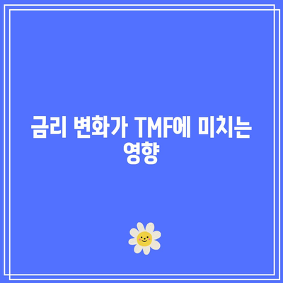 TMF와 금리: 상관관계 알아보기