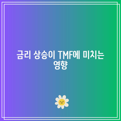 TMF: 금리 변동에 대한 과도한 노출로 인한 위험성