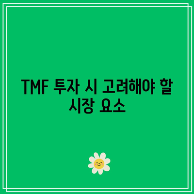 TMF: 미국 장기 국채의 힘을 활용하기