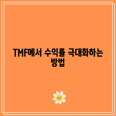 TMF: 위험 대비 수익률 균형 잡기