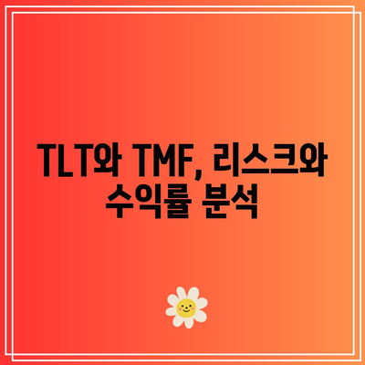 미국 채권 투자: TLT, TMF, 금리 인하 전망