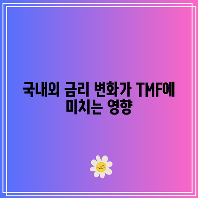 채권 투자 붐과 함께 생각해볼 질문: TMF (장기채 레버리지 ETF)