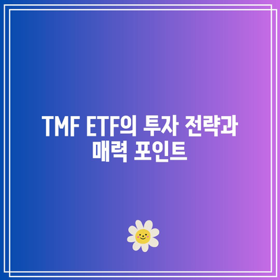 TMF ETF의 가격 상승 잠재력에 대한 전망